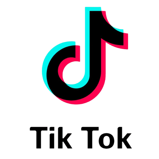 TikTok icon